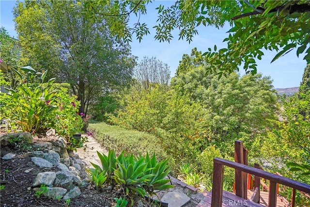 22633 Crespi St, Woodland Hills, CA 91364 - photo 48