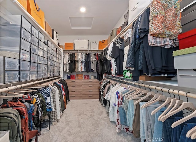 1890 Pele Way, Corona, CA 92882 - spacious closet with carpet floors and attic access