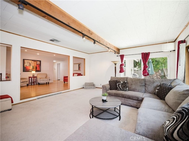 10022 Gothic Ave, North Hills, CA 91343 - carpeted living area featuring rail lighting