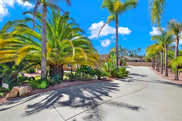 907 Rockwell Springs Ct, Escondido, CA 92025 - view of property's community