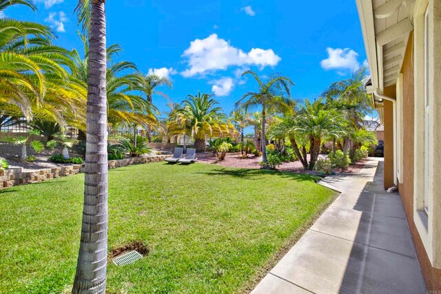 907 Rockwell Springs Ct, Escondido, CA 92025 - view of yard
