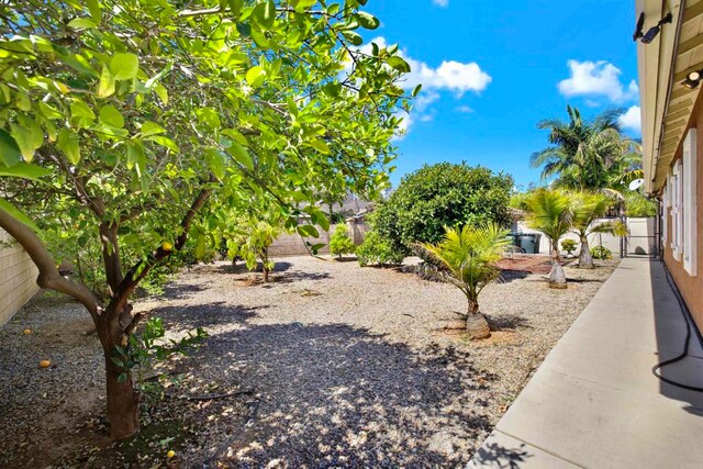 907 Rockwell Springs Ct, Escondido, CA 92025 - view of fenced backyard
