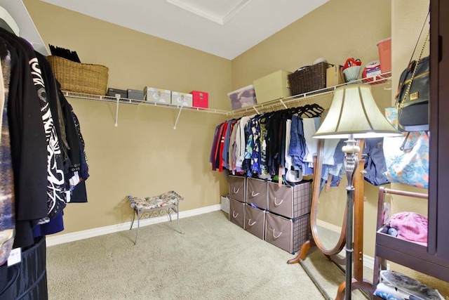 907 Rockwell Springs Ct, Escondido, CA 92025 - walk in closet featuring carpet flooring