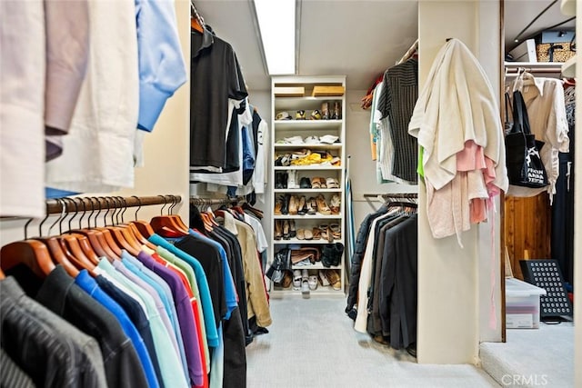 218 Evening Star Ln, Newport Beach, CA 92660 - spacious closet with carpet floors