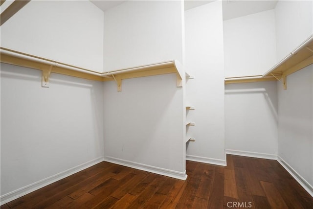 12160 Glines Ct, Tustin, CA 92782 - walk in closet with hardwood / wood-style flooring