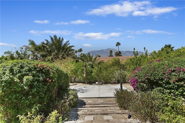 9481 Ekwanok Dr, Desert Hot Springs, CA 92240 - photo 2