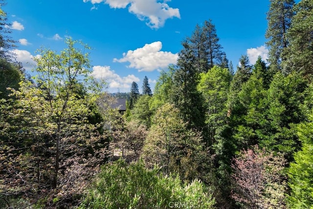 27495 Cedarwood Dr, Lake Arrowhead, CA 92352 - view of woods