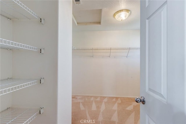 8961 Newcastle Ave, Hesperia, CA 92344 - walk in closet with carpet