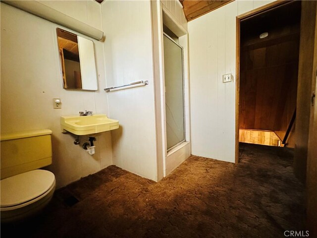 31506 Circle View Dr, Running Springs, CA 92382 - bathroom featuring a shower stall, toilet, and a sink