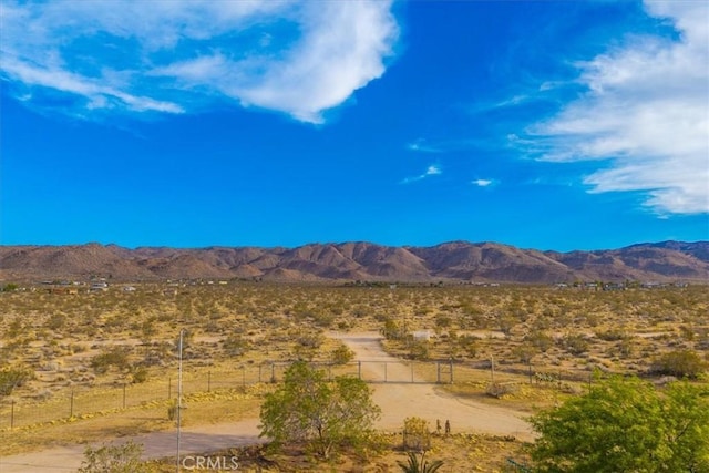 50350 Quailbush Rd, Johnson Valley, CA 92285 - mountain view featuring rural landscape and a desert landscape