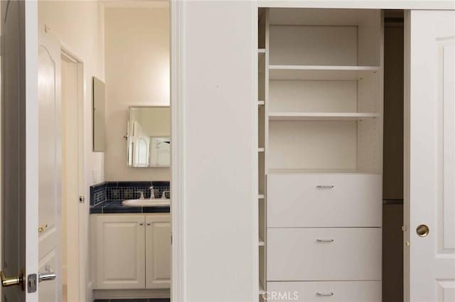 23317 Cuestport Dr, Valencia, CA 91354 - closet with a sink