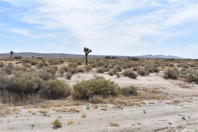 47660 120th St E, Lancaster, CA 93535 - photo 3