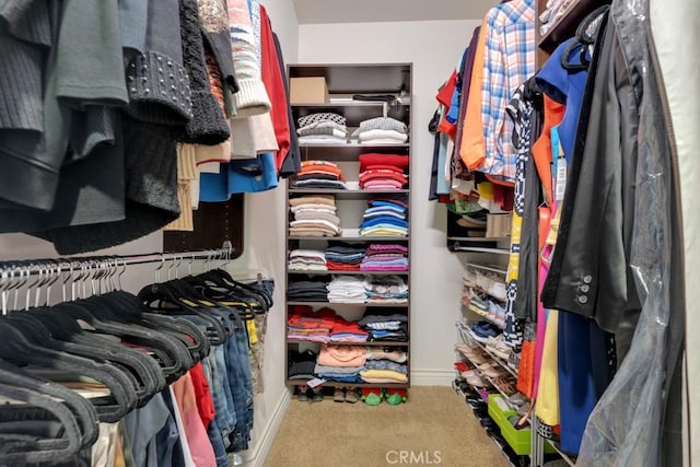 13200 Moorpark St Unit 201, Sherman Oaks, CA 91423 - walk in closet featuring carpet