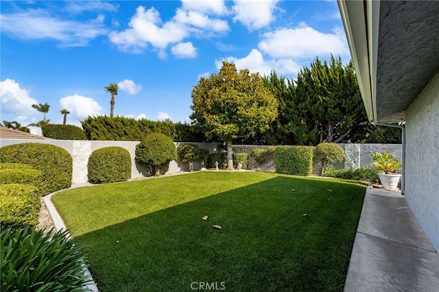 1738 N Ukiah Way, Upland, CA 91784 - view of yard
