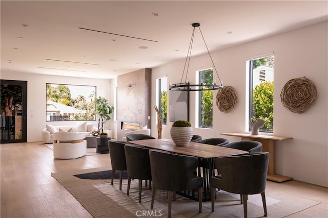 16828 Otsego St, Encino, CA 91436 - dining space featuring light wood-type flooring and plenty of natural light