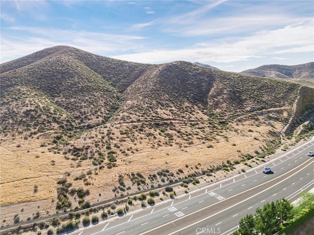 29042 Botanical Cir, Menifee, CA 92584 - view of mountain background