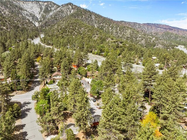 5399 Lone Pine Canyon Rd, Wrightwood, CA 92397 - photo 42
