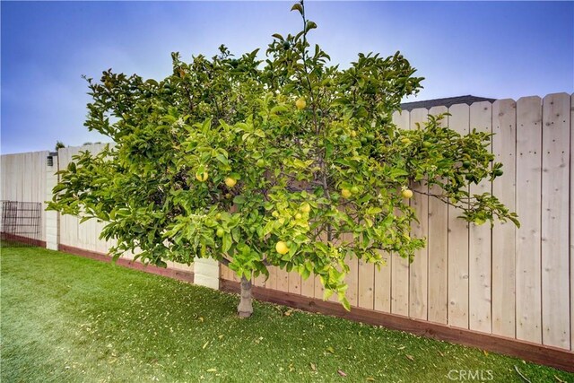 1121 Rose Ct, Grover Beach, CA 93433 - view of yard
