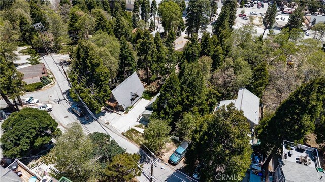 1244 Bear Springs Rd, Twin Peaks, CA 92391 - bird's eye view