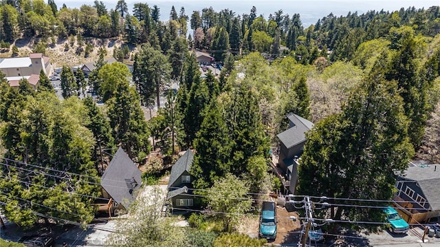 1244 Bear Springs Rd, Twin Peaks, CA 92391 - aerial view of a heavily wooded area