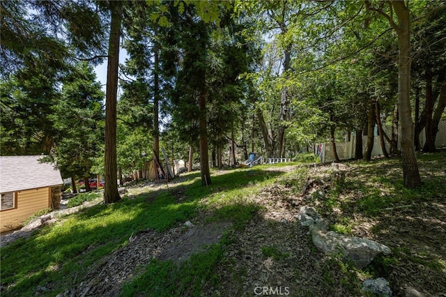 1244 Bear Springs Rd, Twin Peaks, CA 92391 - view of yard