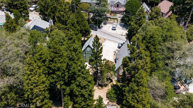1244 Bear Springs Rd, Twin Peaks, CA 92391 - aerial view