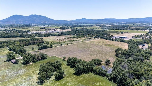 270 Soda Bay Rd, Lakeport, CA 95453 - photo 12