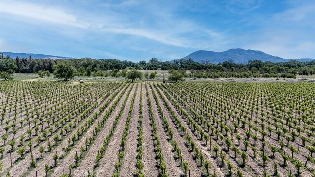 270 Soda Bay Rd, Lakeport, CA 95453 - photo 4