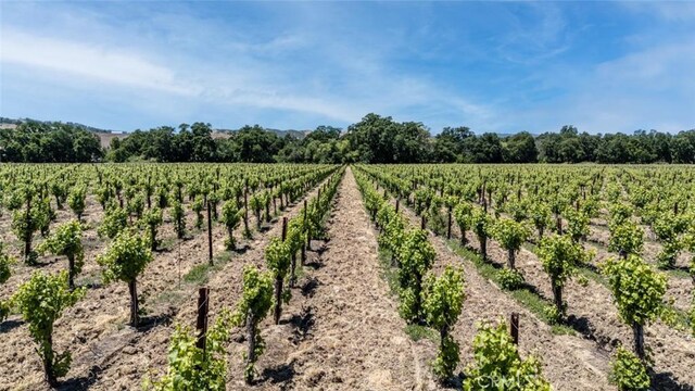 270 Soda Bay Rd, Lakeport, CA 95453 - photo 2