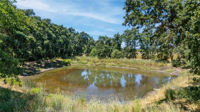 270 Soda Bay Rd, Lakeport, CA 95453 - photo 6