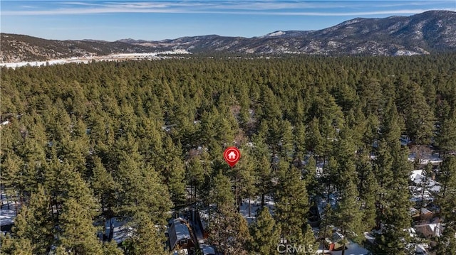 259 Victoria Ln, Sugarloaf, CA 92386 - photo 49