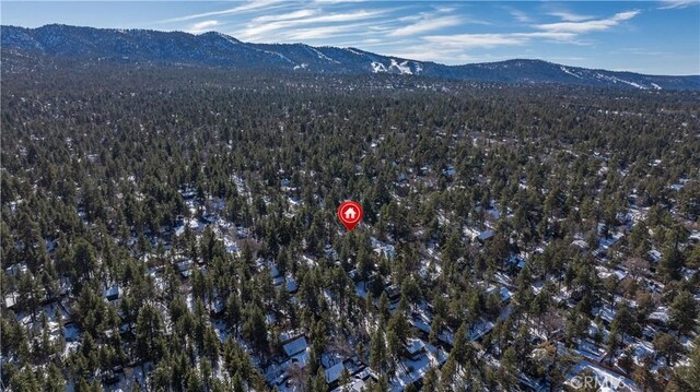259 Victoria Ln, Sugarloaf, CA 92386 - photo 52