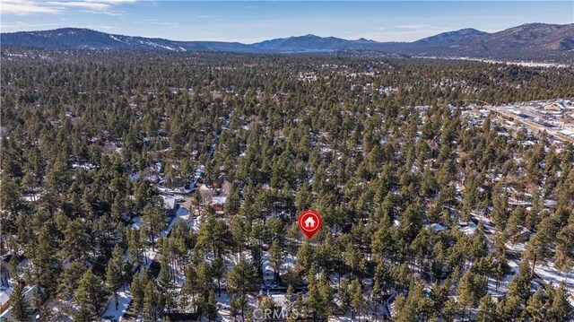 259 Victoria Ln, Sugarloaf, CA 92386 - photo 51