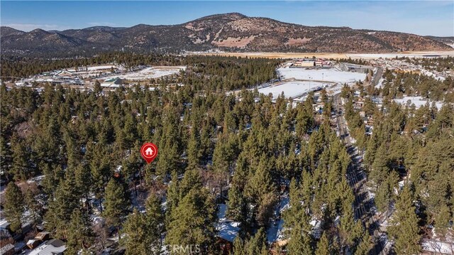 259 Victoria Ln, Sugarloaf, CA 92386 - photo 50