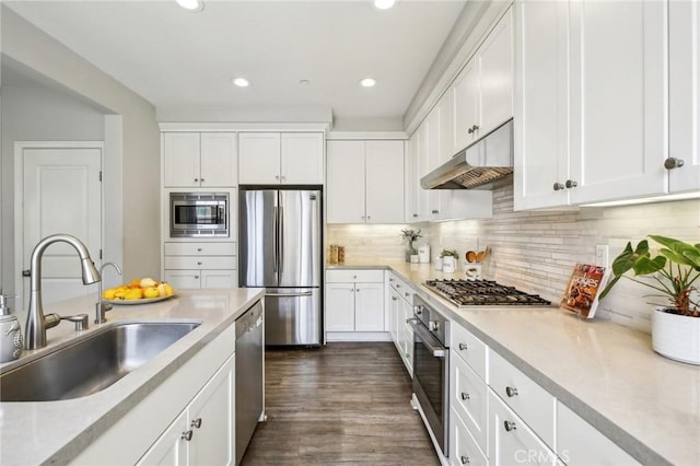 114 Desert Lotus, Irvine, CA 92618 - kitchen featuring appliances with stainless steel finishes, under cabinet range hood, a sink, white cabinets, and light countertops