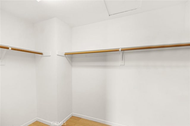 40678 Alondra Dr, Murrieta, CA 92562 - walk in closet with light wood finished floors