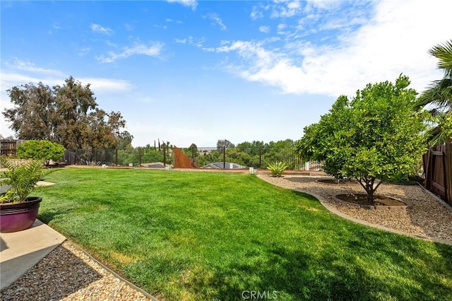 40678 Alondra Dr, Murrieta, CA 92562 - view of yard