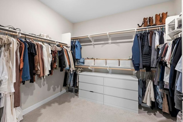 7902 Belluno Way, San Diego, CA 92126 - walk in closet with carpet floors
