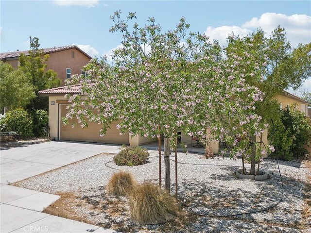 15756 Mcvay Ln, Adelanto, CA 92301 - photo 28