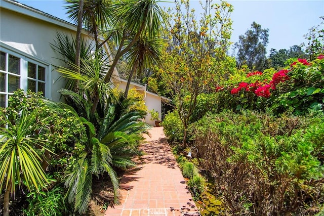 2363 Coldwater Canyon Dr, Beverly Hills, CA 90210 - view of yard