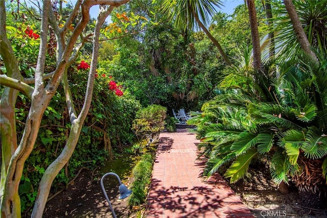 2363 Coldwater Canyon Dr, Beverly Hills, CA 90210 - view of home's community