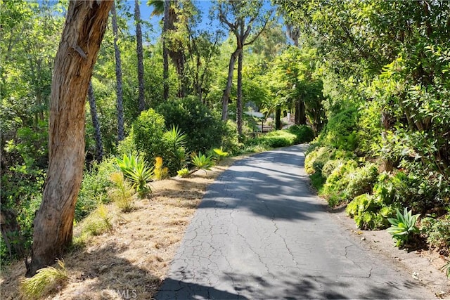 1761 Lemon Ter, North Tustin, CA 92705 - view of road