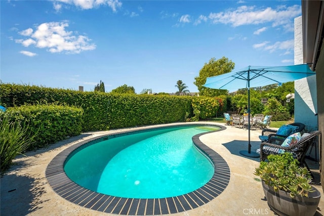 4435 Via Del Prado, Yorba Linda, CA 92886 - view of swimming pool with a patio area