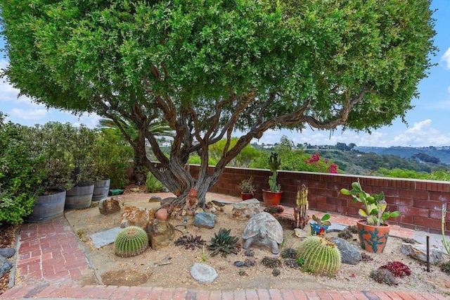 7414 Lantana, Carlsbad, CA 92011 - view of yard