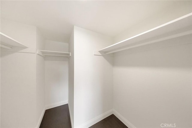 187 S Catalina Ave Unit 4, Pasadena, CA 91106 - view of spacious closet