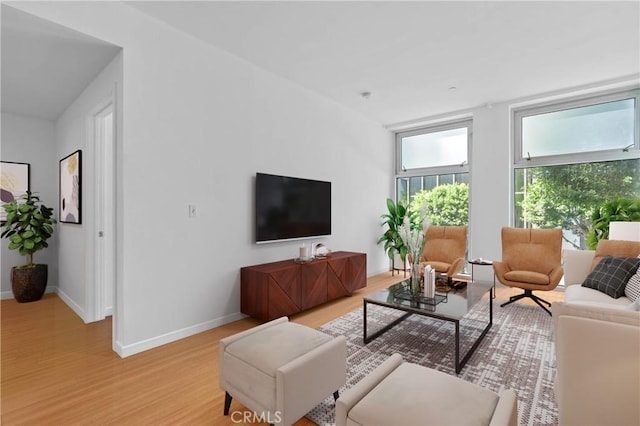 630 W 6th St Unit 215, Los Angeles, CA 90017 - living room featuring light wood-style floors and baseboards
