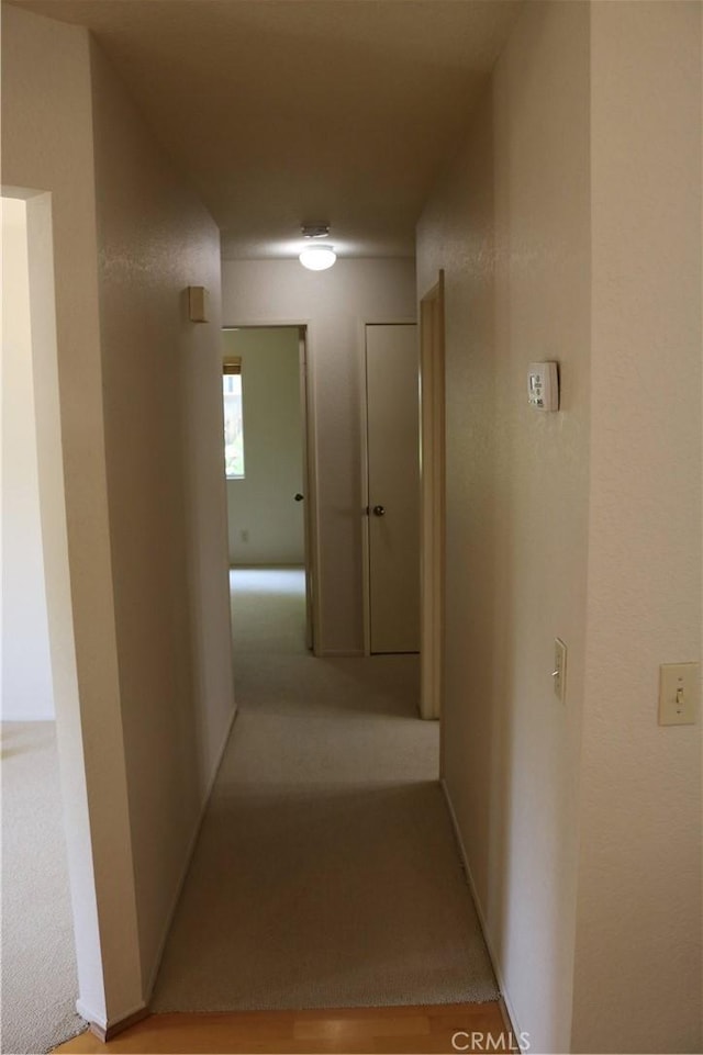 26693 Spotted Pony Dr, Corona, CA 92883 - hallway with light colored carpet