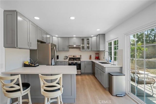 2215 Calmette Ave, Rowland Heights, CA 91748 - kitchen with gray cabinetry, stainless steel appliances, a peninsula, light countertops, and light wood finished floors
