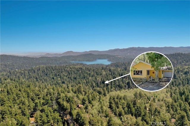 943 Meadowbrook Rd, Lake Arrowhead, CA 92352 - mountain view with a forest