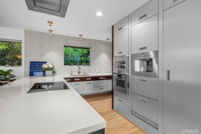 541 1st St, Manhattan Beach, CA 90266 - kitchen featuring black electric cooktop, a sink, plenty of natural light, modern cabinets, and recessed lighting